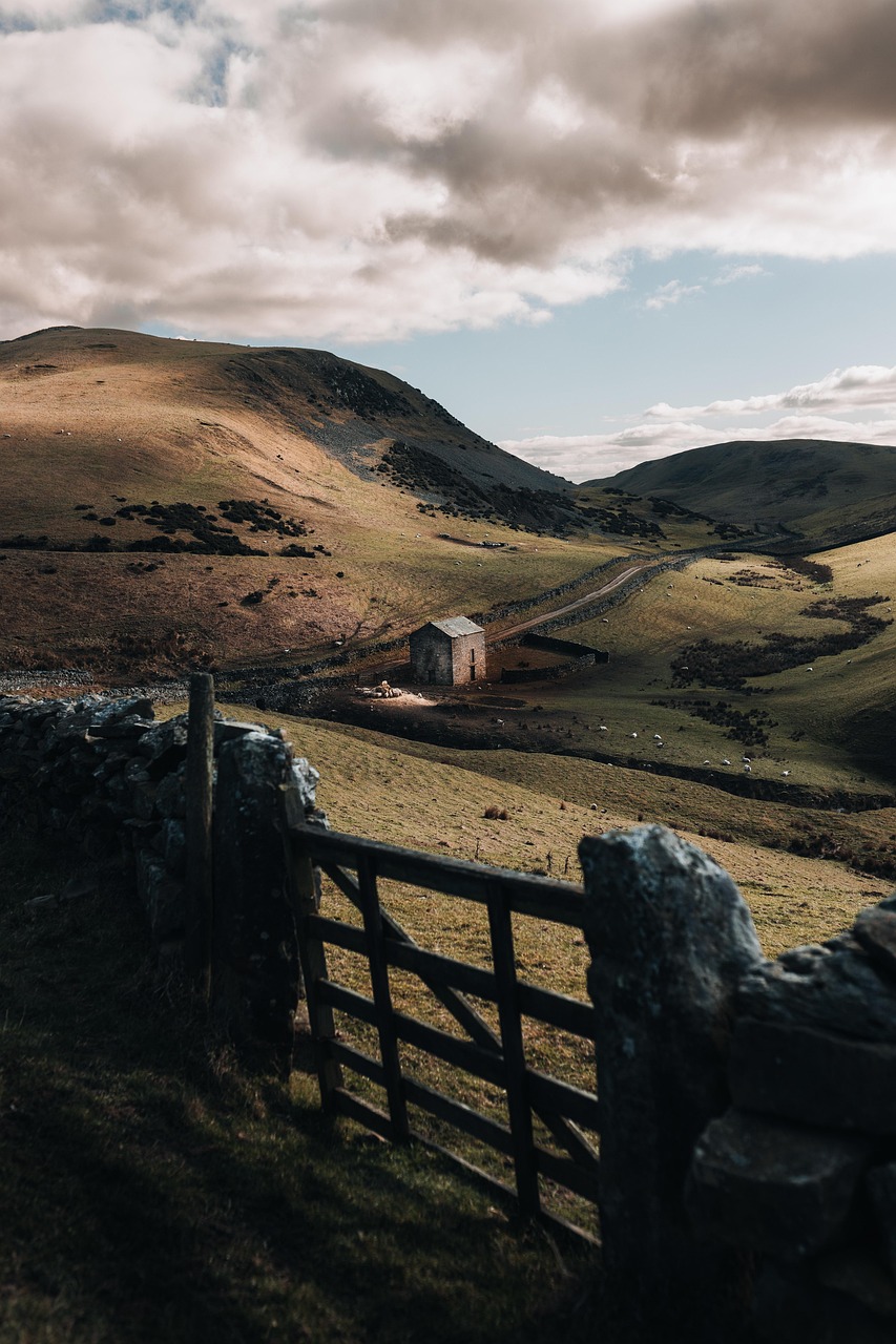 photography, photographer, landscape, urban, farm, nature