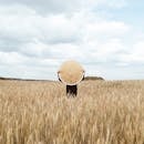 Artistic scene in a wheat field with a mirror reflecting the field. Shot outdoors with natural light.